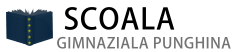 Scoala Gimnaziala Punghina
